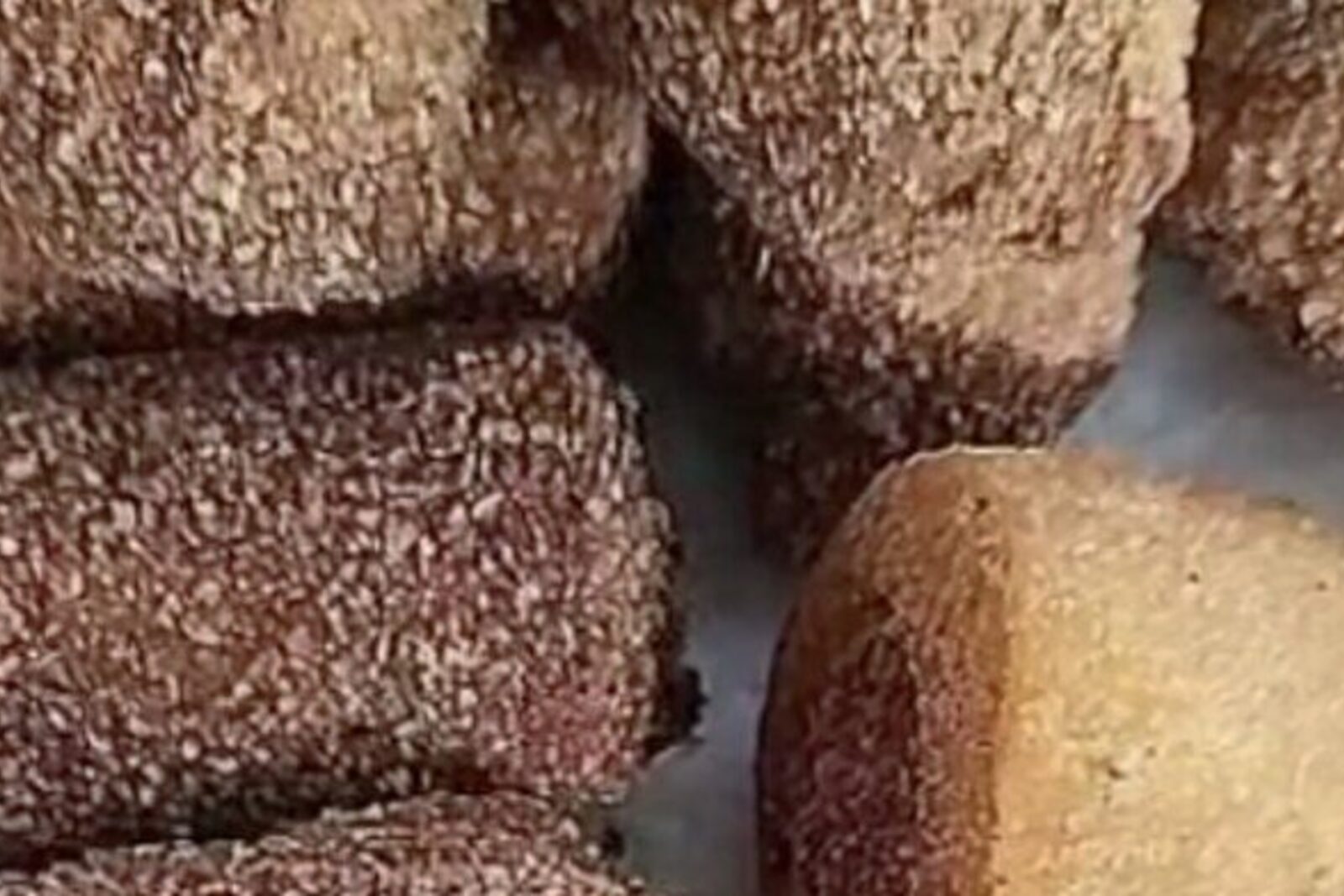 Risólis · sabor Ray Brigadeiros
